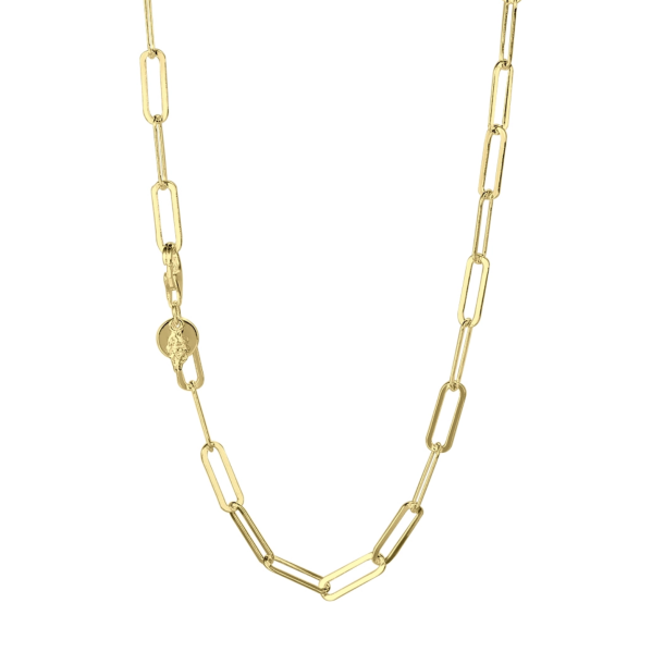 Aqua Dulce 4653 Mila Chain Necklace - Gold 42 + 4 cm. 