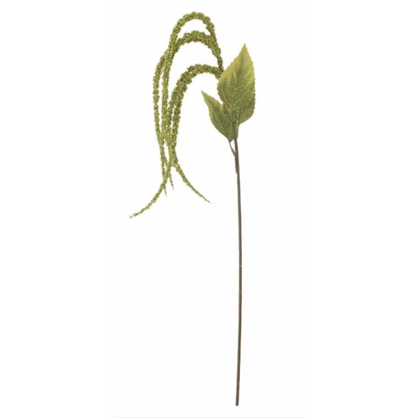 Bloomingville 235081 Foxtail Stilk, Grn, Kunstige Blomster