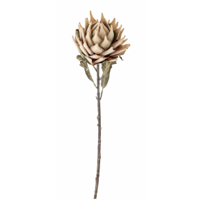Bloomingville 82061468 Protea Stilk, Natur, Kunstige Blomster