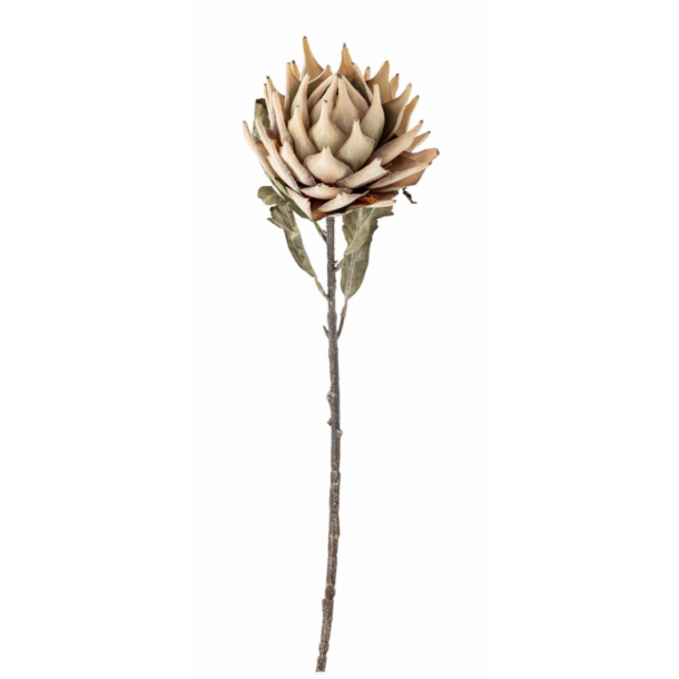 Bloomingville 82061468 Protea Stilk, Natur, Kunstige Blomster